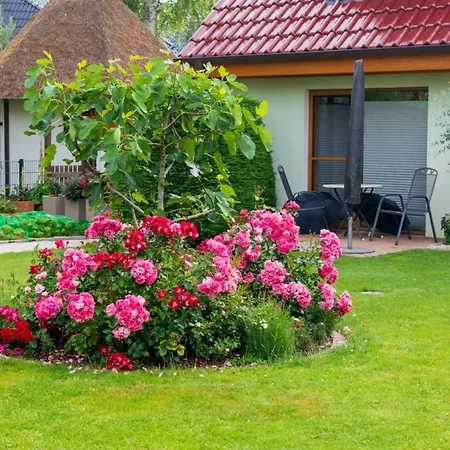 Apartamento Meereslust Eg 1r *